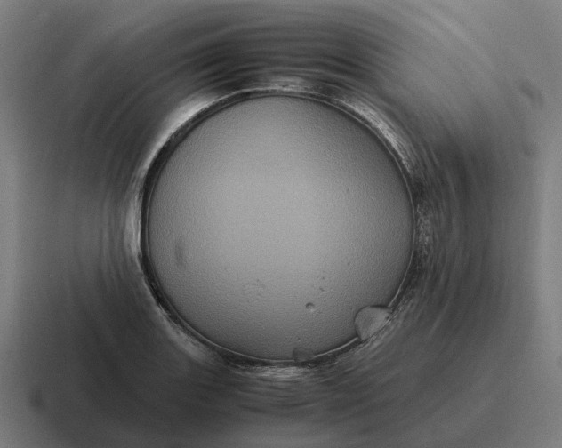 X0000116801131200912311931