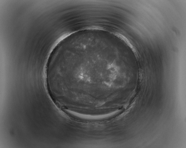 X0000116801133200912311931