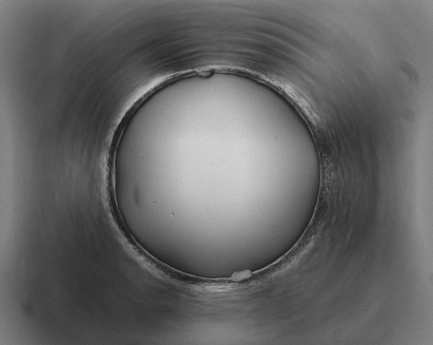 X0000116801134200912311931