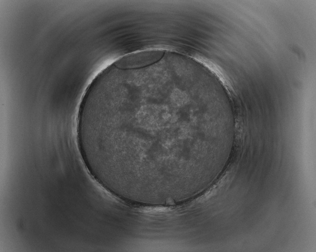 X0000116801135200912311931