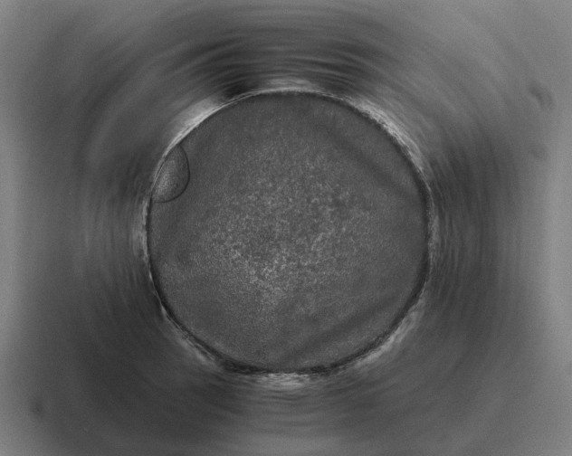 X0000116801137200912311931