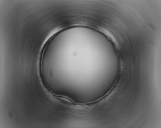 X0000116801138200912311931