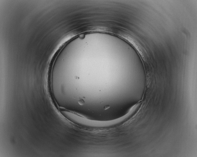 X0000116801139200912311931