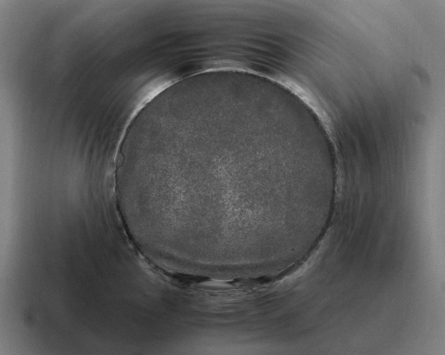 X0000116801145200912311931