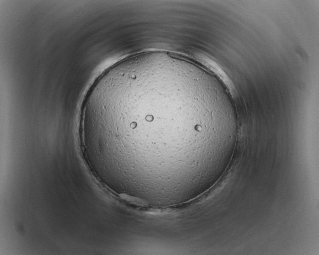 X0000116801146200912311931