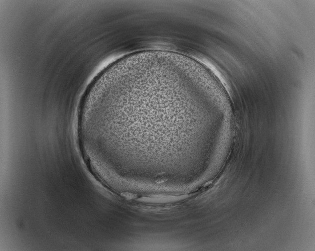 X0000116801147200912311931