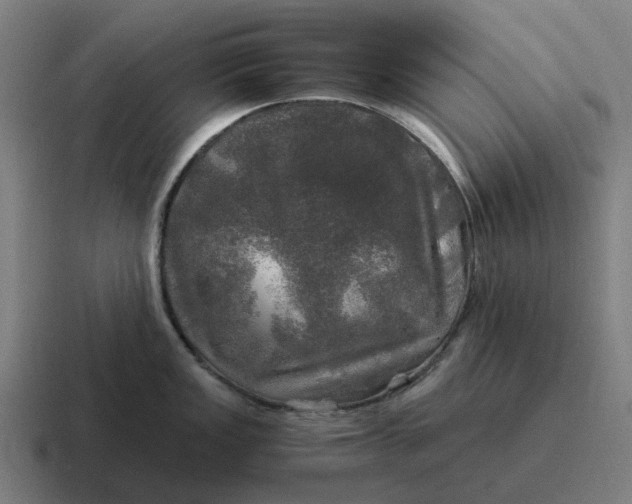 X0000116801149200912311931