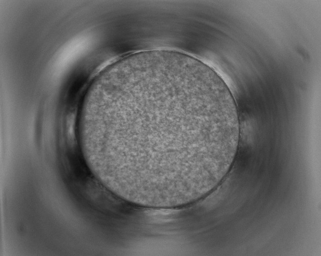 X0000116801150200912311931