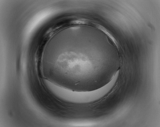 X0000116801151200912311931