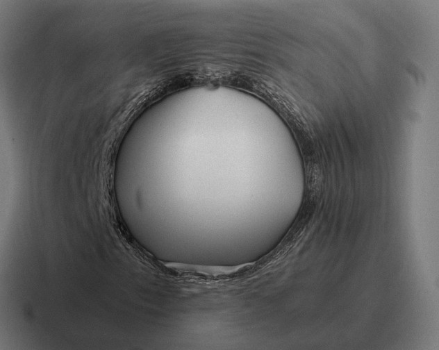 X0000116801153200912311931