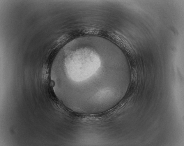 X0000116801154200912311931