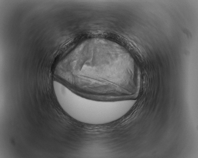 X0000116801156200912311931