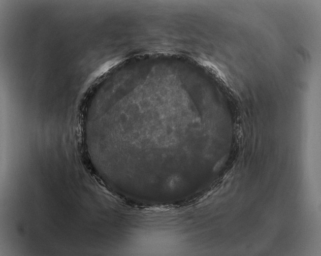 X0000116801159200912311930