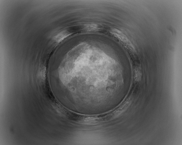 X0000116801161200912311930