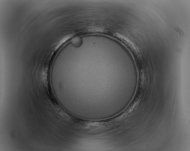 X0000116801162200912311930