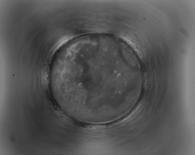 X0000116801163200912311930