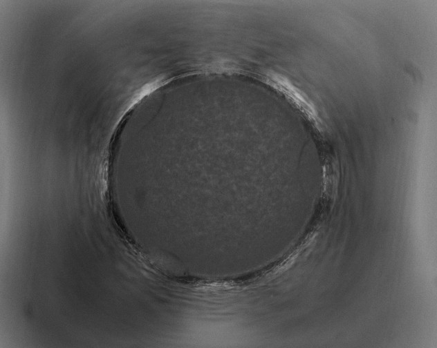 X0000116801165200912311930