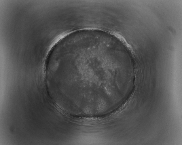 X0000116801167200912311930