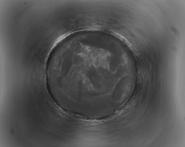 X0000116801168200912311930