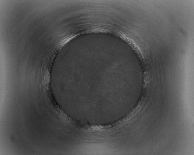 X0000116801169200912311930