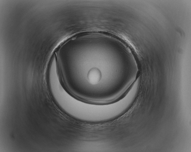 X0000116801173200912311930