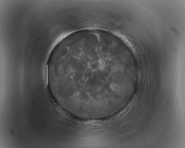 X0000116801175200912311930