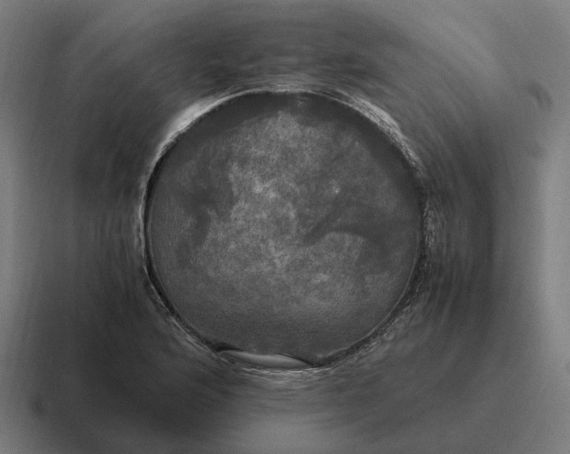 X0000116801176200912311930