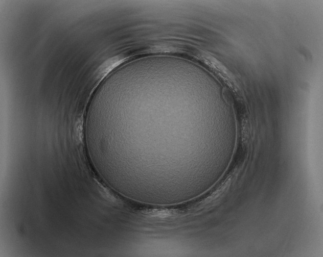 X0000116801177200912311930