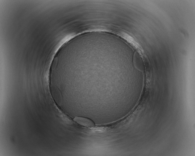 X0000116801181200912311930