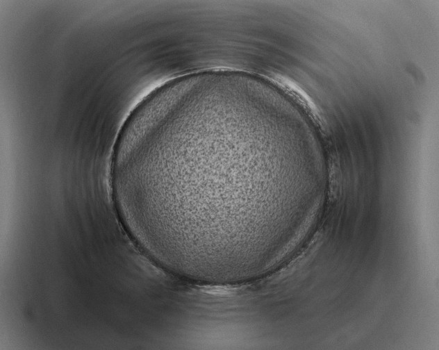 X0000116801182200912311930