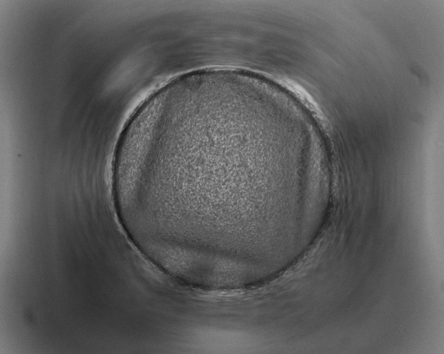 X0000116801183200912311930