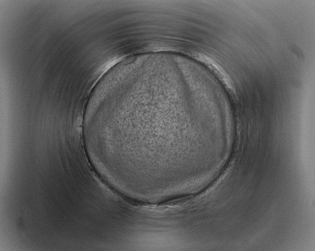 X0000116801185200912311930