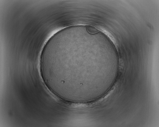 X0000116801187200912311930