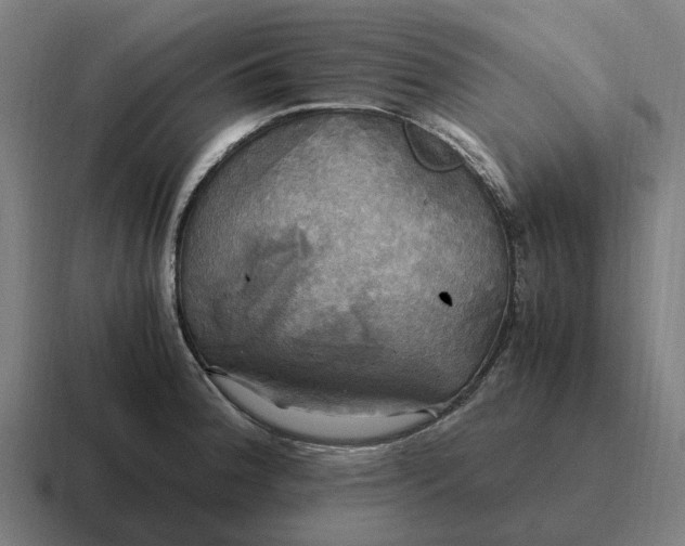 X0000116801188200912311930