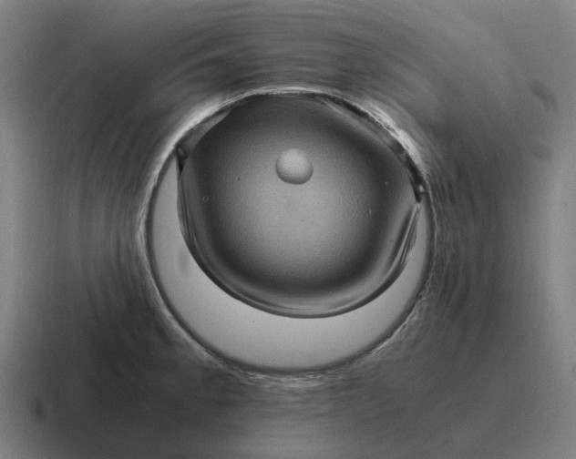 X0000116801189200912311930