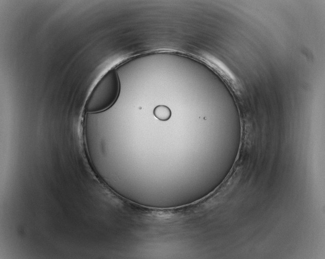 X0000116801190200912311930