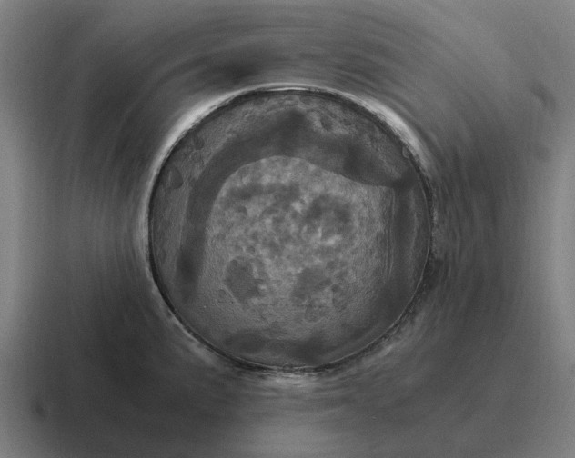 X0000116801191200912311930