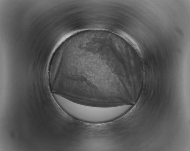 X0000116801192200912311930