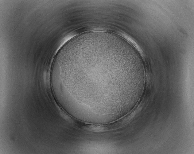 X0000116801194200912311930