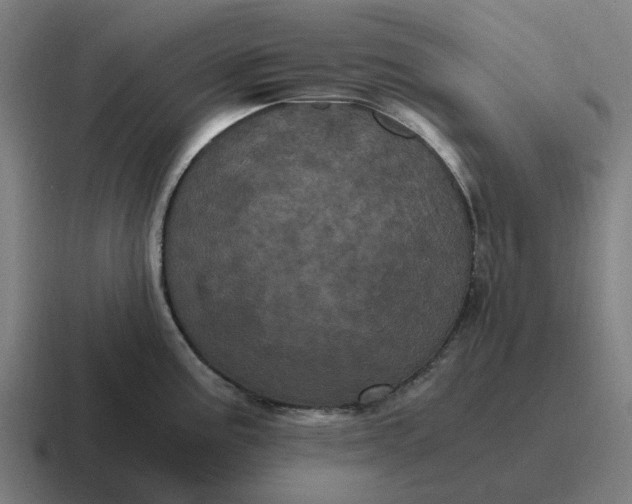 X0000116801195200912311930