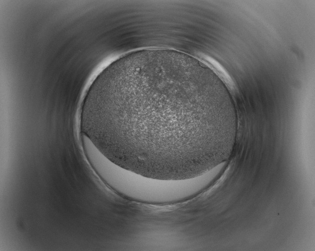 X0000116801196200912311930