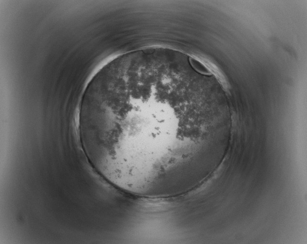 X0000116801198200912311930