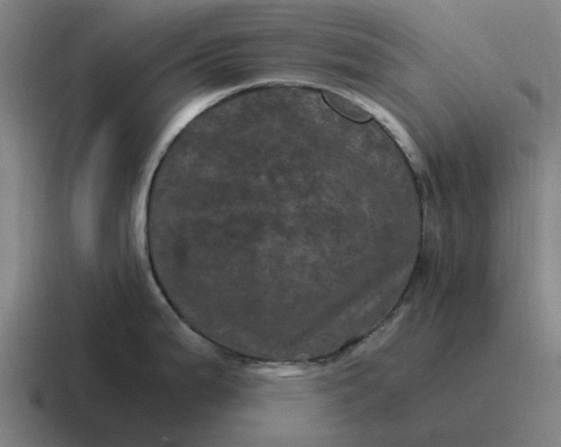 X0000116801199200912311930