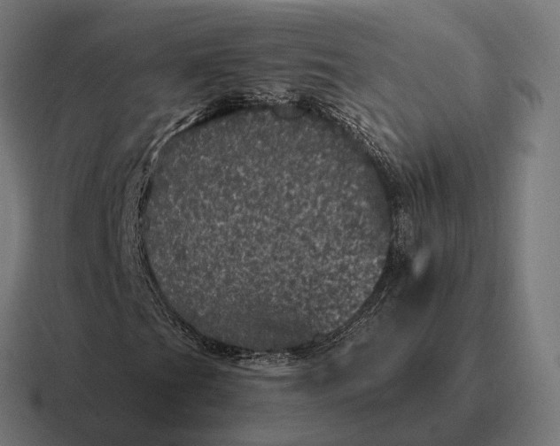 X0000116801201200912311929