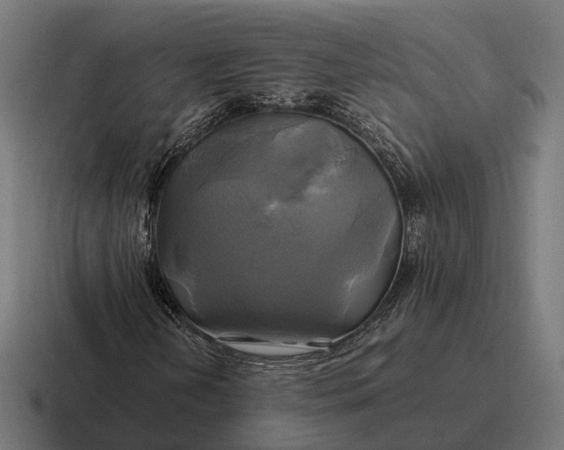 X0000116801202200912311929