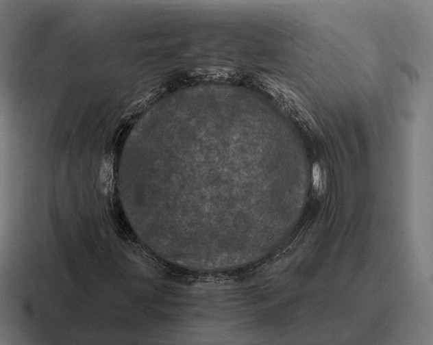 X0000116801203200912311929