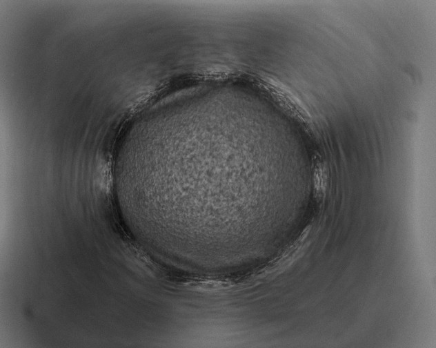 X0000116801204200912311929