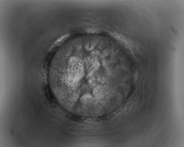 X0000116801205200912311929