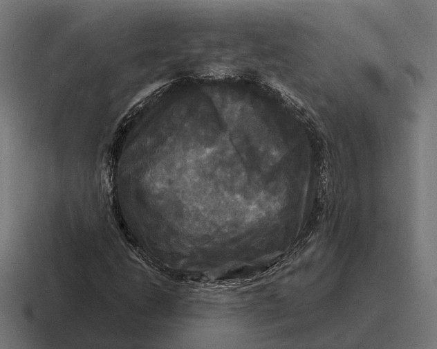 X0000116801206200912311929