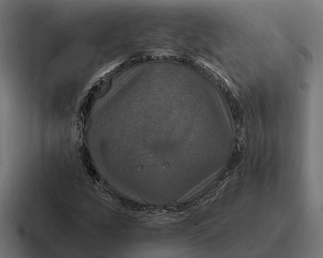 X0000116801207200912311929